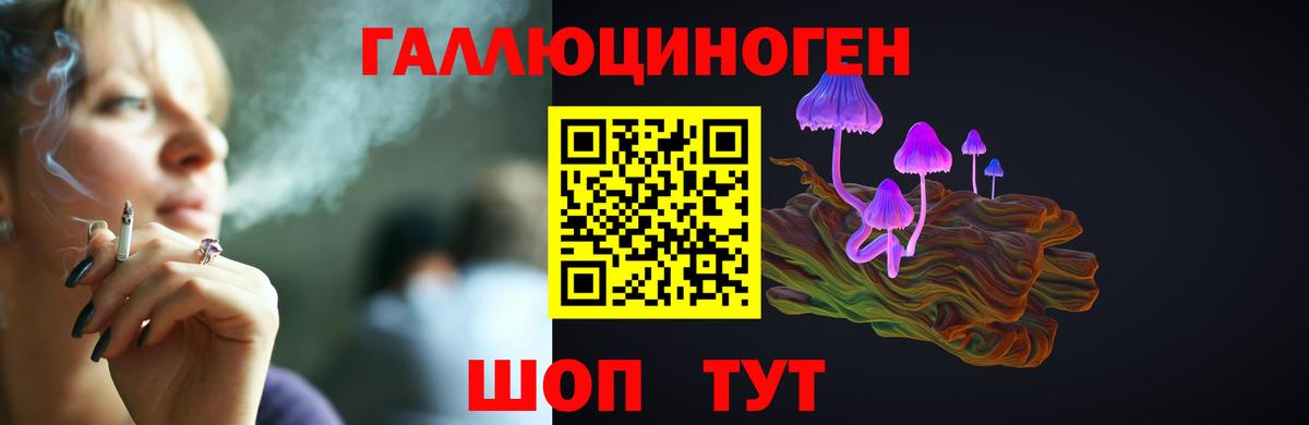 Кузнецк  Псилоцибиновые грибы мухоморы  Вход с VPN 
